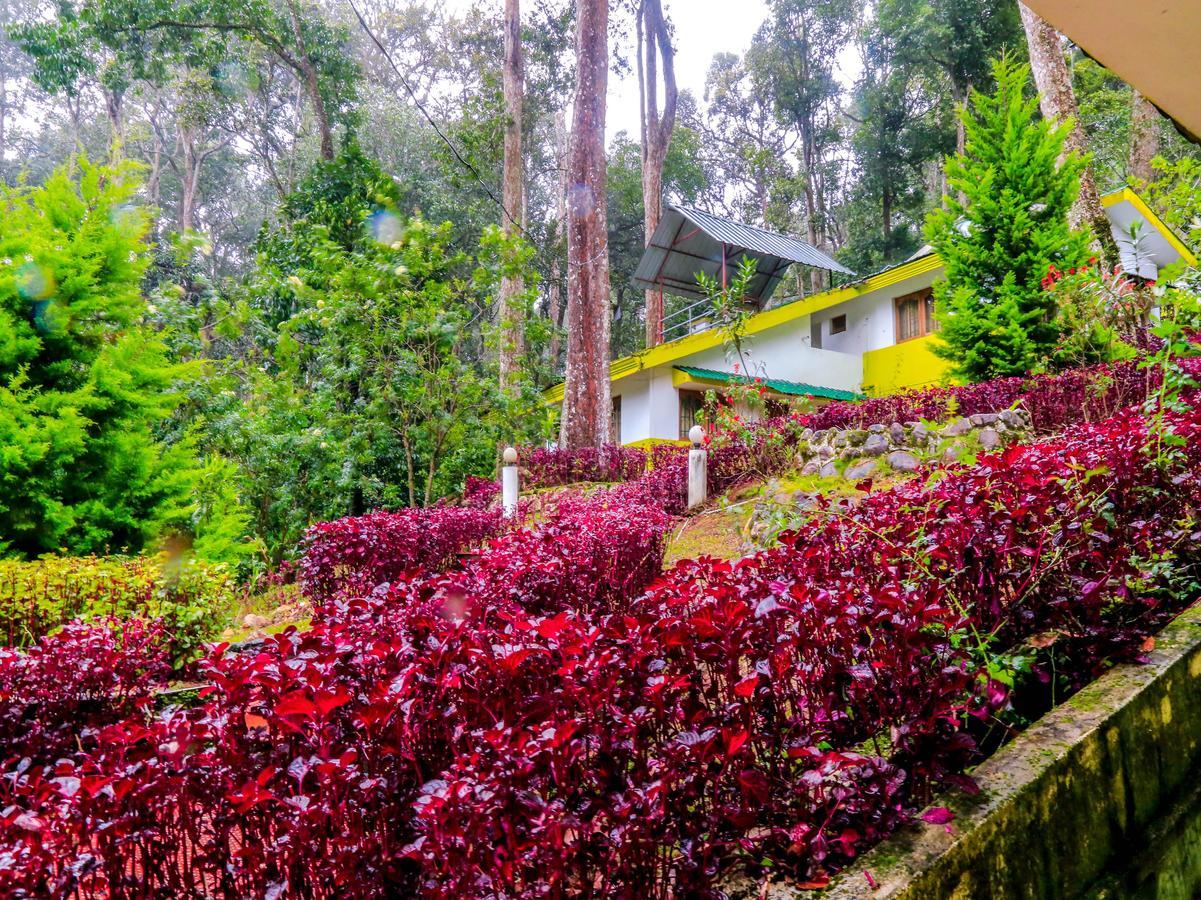Oyo 4651 Woodpecker Resort Munnar Eksteriør bilde
