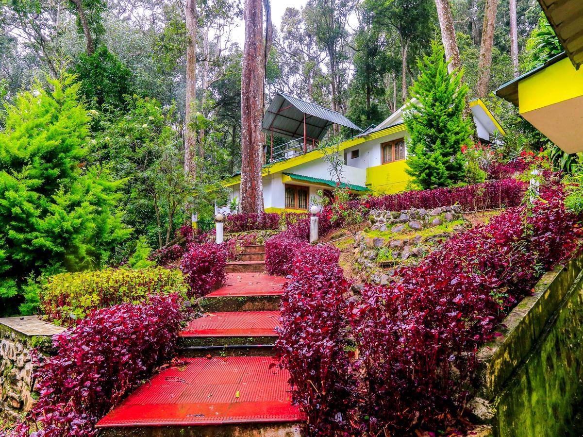 Oyo 4651 Woodpecker Resort Munnar Eksteriør bilde